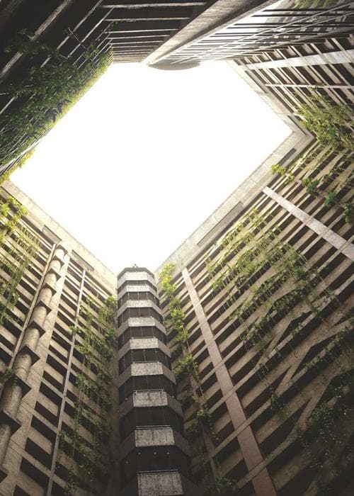 Fresh visual direction